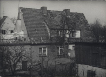 dom, skan 3
