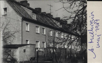 dom, skan 3