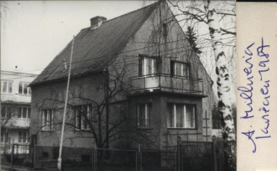 dom, skan 3