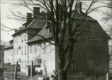 dom, skan 3