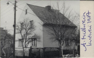 dom, skan 3