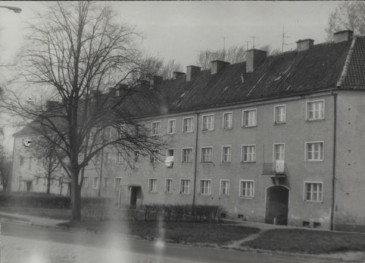 dom, skan 3