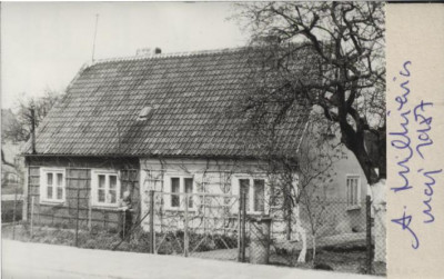 dom, skan 2