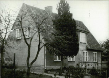 dom, skan 3
