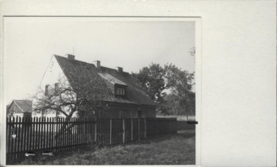 czworak, skan 2