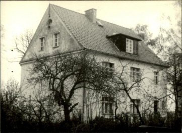 dom, skan 3
