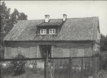 dom, skan 6