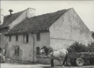 dom, skan 3