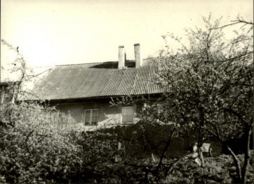 dom, skan 3