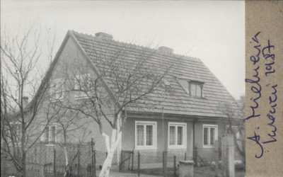 dom, skan 2