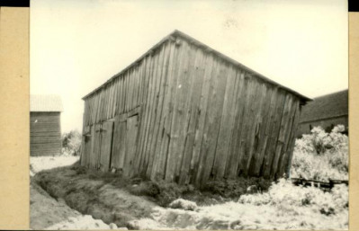 szopa, skan 2