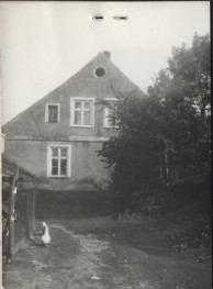 dom, skan 3