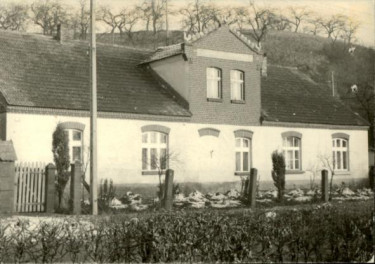 dom, skan 3