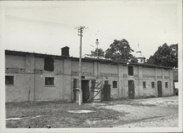 obora dworska, skan 3