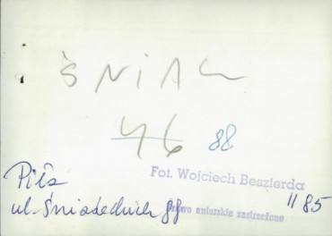 dom, skan 4