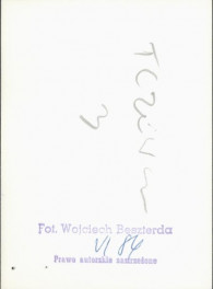 dom, skan 4