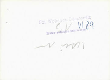 dom, skan 7