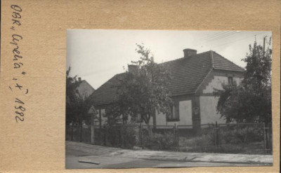 czworak, skan 2