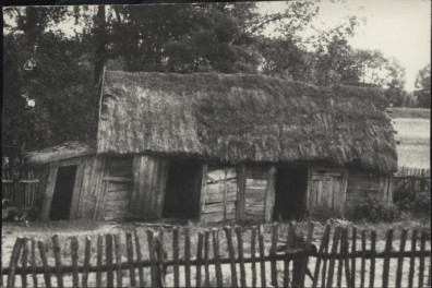 obórka, skan 3