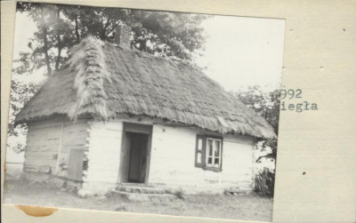 dom, skan 3