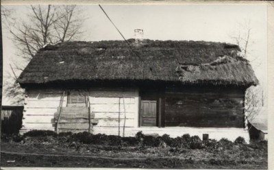 dom, skan 3