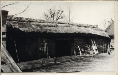 obora, skan 3