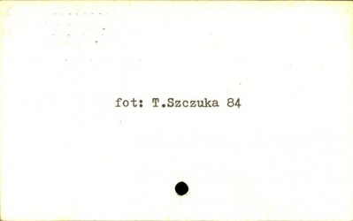 komora, skan 2