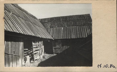 szopa, skan 2