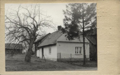 dom, skan 2