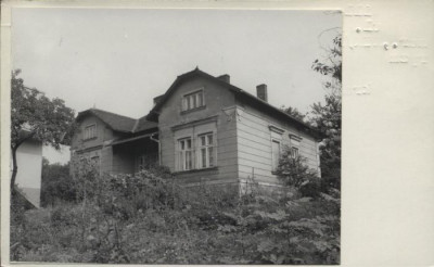 willa, skan 2