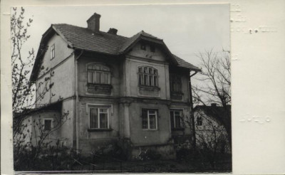 willa, skan 2