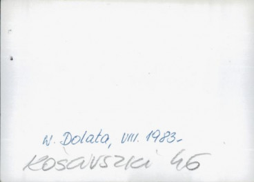 dom, skan 3