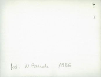 dom, skan 4