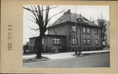 dom, skan 3