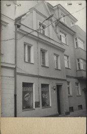 dom, skan 2
