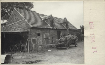 chlewik, skan 2