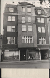 dom, skan 2