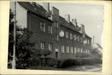 dom, skan 3