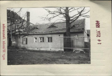 stajnia, skan 2