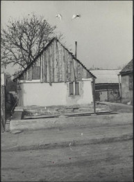 dom, skan 3