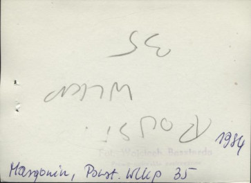 dom, skan 3