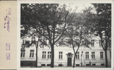 dom, skan 4