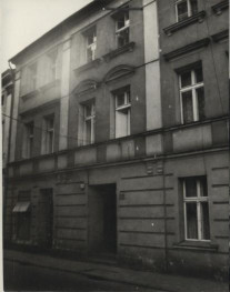 dom, skan 3