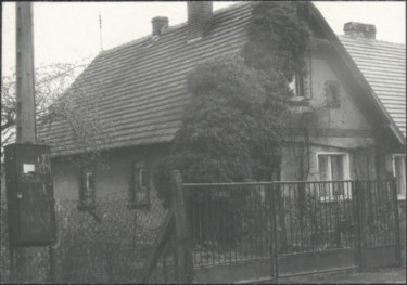 dom, skan 3