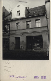 dom, skan 3