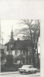 willa, skan 2