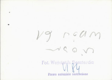 dom, skan 4