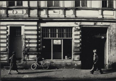 dom, skan 3