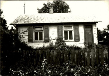 dom, skan 3