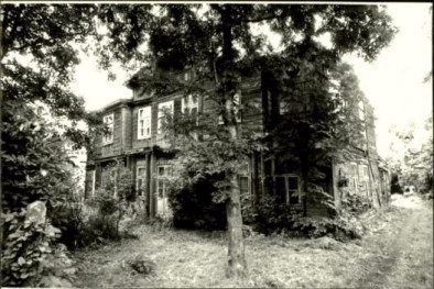willa, skan 3